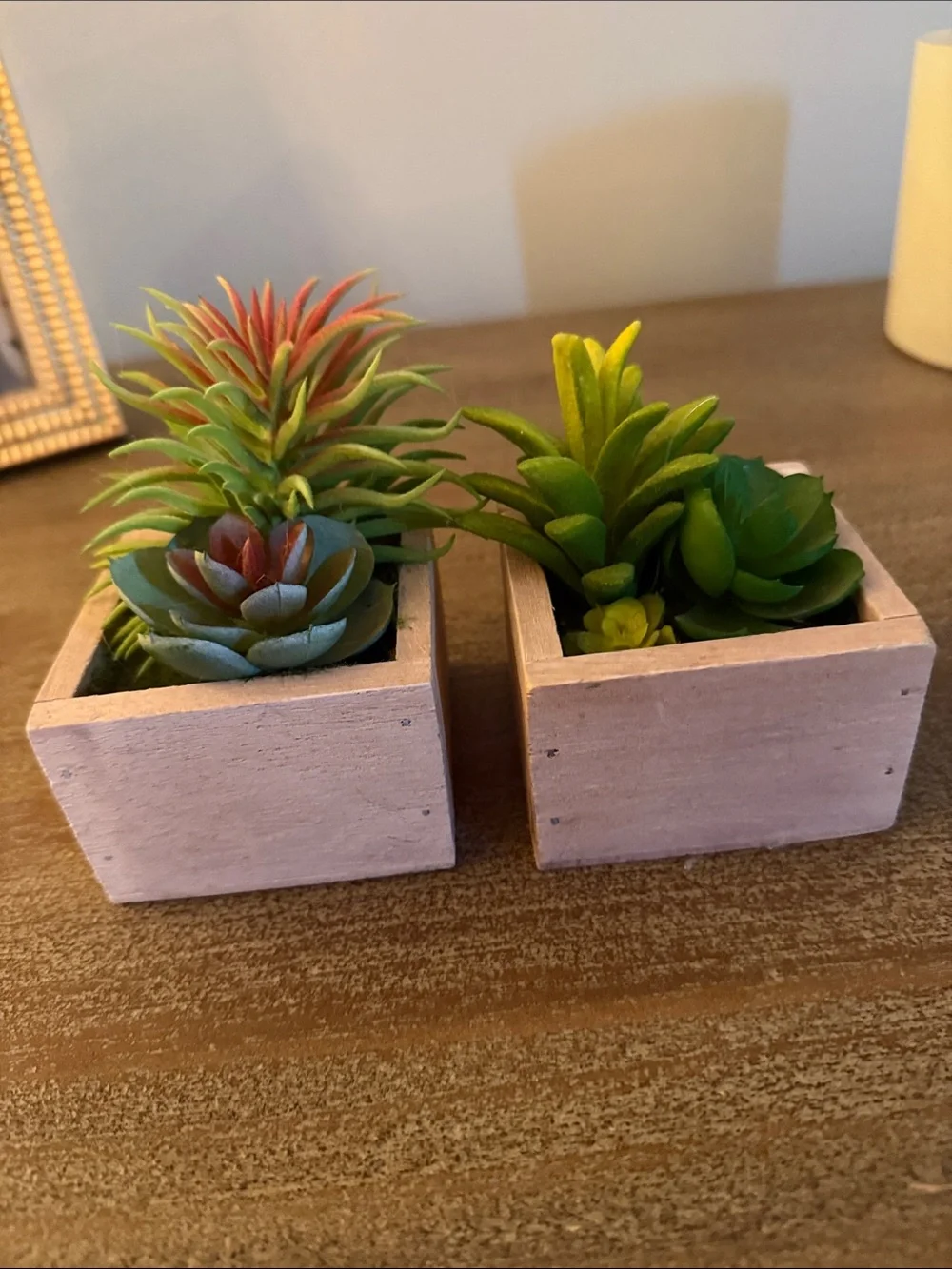 Artificial Succulent Duo in Wooden Planters - Green & Coral Accent